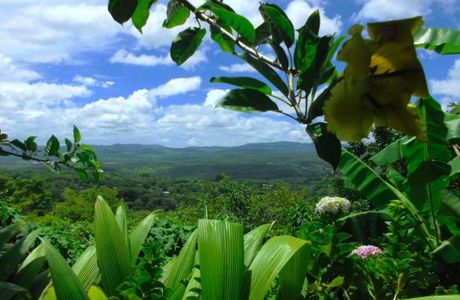 UCA MiraFlor Naturalmente