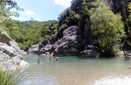 Foresta di Berignone