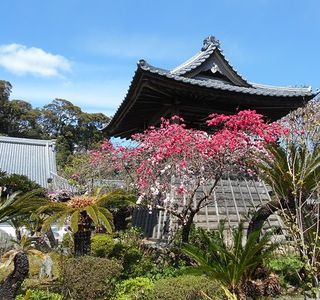 Nomanji Temple