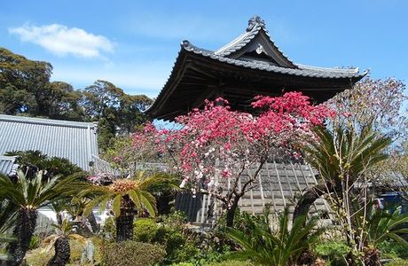 Nomanji Temple