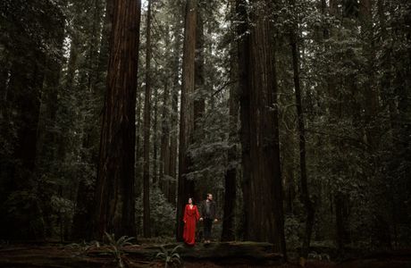 The Forest of Adventure in Itoshiro
