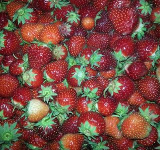 Ranran Strawberry Farm