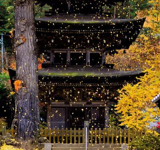 Zensanji Temple
