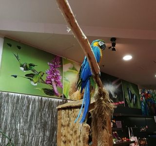 Centro Colibri Di Margherita Hack