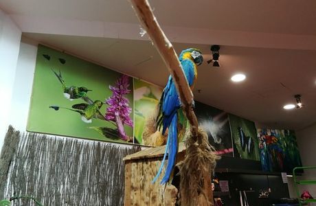 Centro Colibri Di Margherita Hack