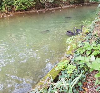 Centro Parco Fagiana