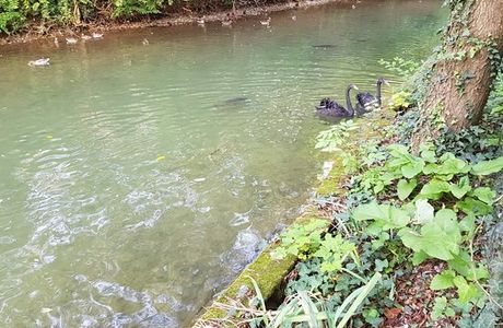 Centro Parco Fagiana