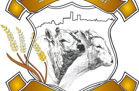 Azienda Agricola San Marco di Mori - Vendita diretta Carne Chianina