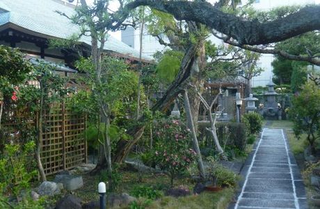 Honsho-ji Temple