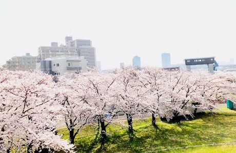 Yodogawa Kasen Park