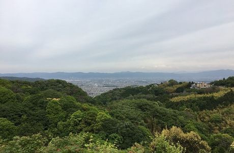 Mt. Shigi