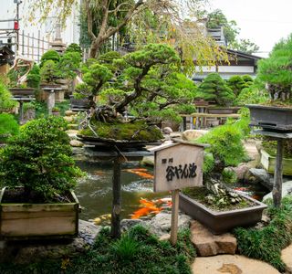 Shunkaen BONSAI Museum