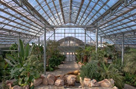 Bayan Botanical Garden