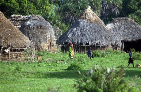 Sacred Mijikenda Kaya Forests