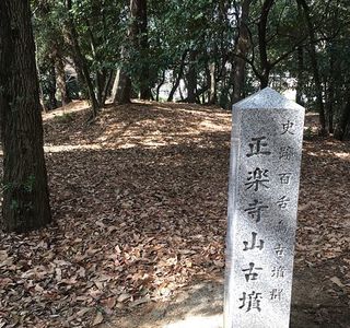 Nishisakenomi Ancient Tomb