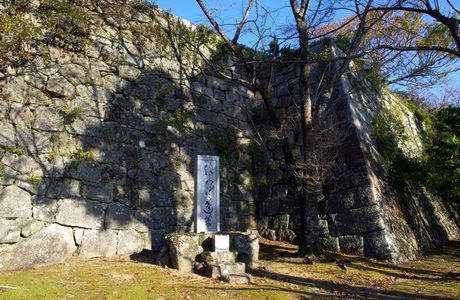 Ruins of Shingu Castle