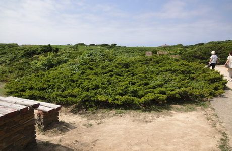 Yagishiri Island