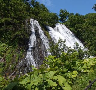 Oshin Koshin Falls