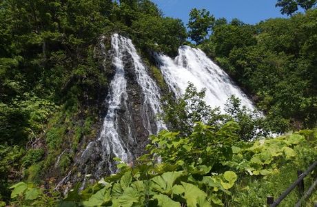 Oshin Koshin Falls