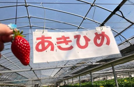 Yasuda Strawberry Farm