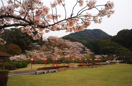 Mure no Sato Park