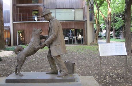 Statue of Hachiko & Hidesaburo Ueno
