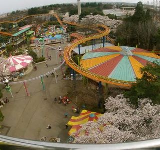 Tochinoki Family Land