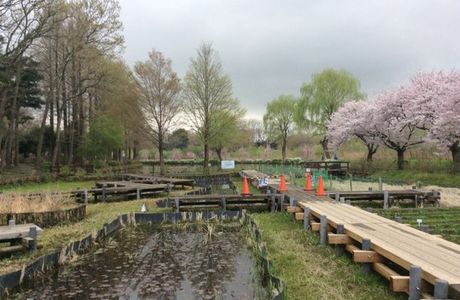 Ageo Maruyama Park