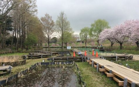 Ageo Maruyama Park 1