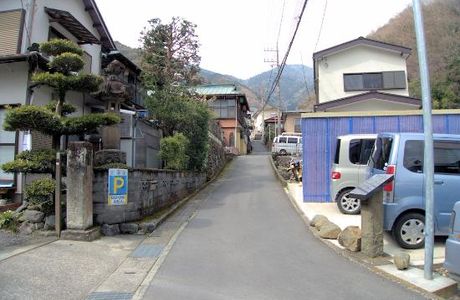 Tofu Zaka