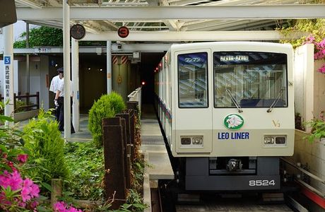 Leo Liner