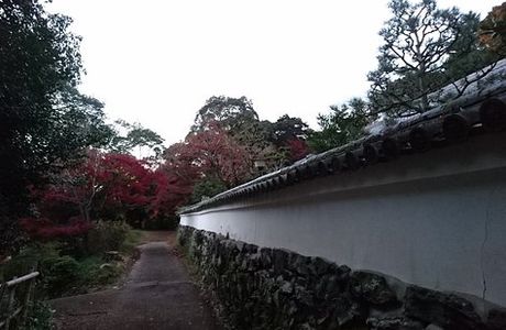 Tozenin Temple