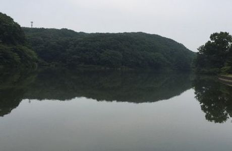 Hatchoko Park