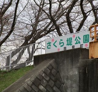 Sakuratsutsumi Park
