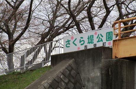 Sakuratsutsumi Park