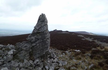 Stiperstones Nature Reserve