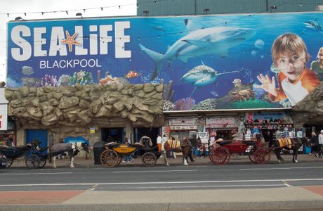 Sea Life Blackpool