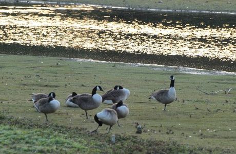 Sevenoaks Wildlife Reserve