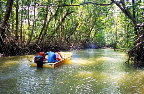 Eastern Mangrove Lagoon National Park