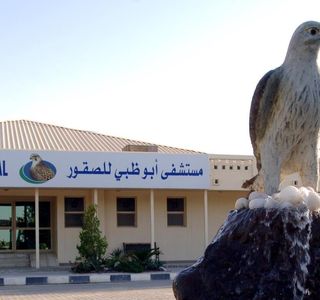 Abu Dhabi Falcon Hospital