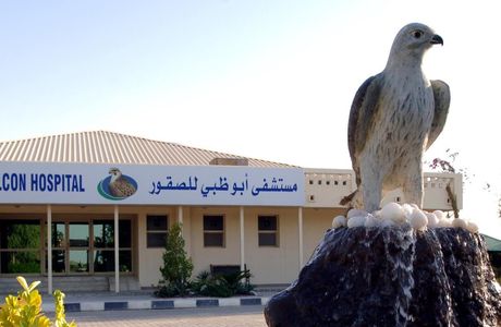 Abu Dhabi Falcon Hospital