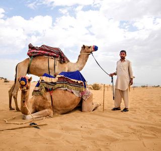 Dubai Desert Conservation Reserve