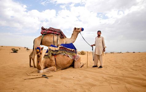 Dubai Desert Conservation Reserve 1