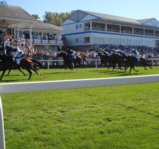 Royal Windsor Racecourse