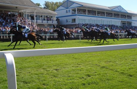 Royal Windsor Racecourse