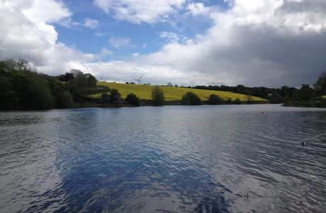 Ulley Reservoir Country Park
