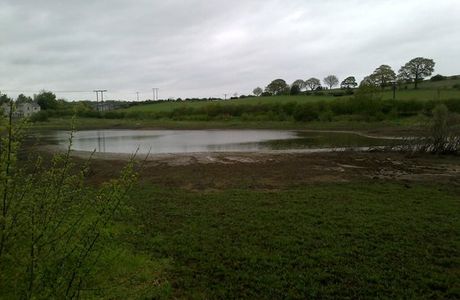 Firsby Common Local Nature Reserve