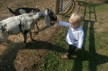 Aston Springs Farm