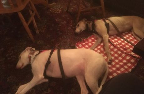 The Crown Inn Cootham