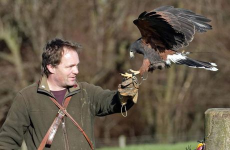 National Centre for Birds of Prey